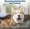 PetSafe Classic Bark Control Collar Multi Level Static Correction Waterproof