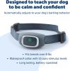 PetSafe Classic Bark Control Collar Multi Level Static Correction Waterproof