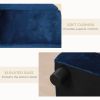 Luxury Dog Bed Hidden Storage Foam Cushion Modern Sofa Blue CCS