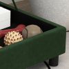 Luxury Dog Bed Soft Foam Couch Hidden Storage Small Green CCS
