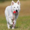 Natural Rubber Dog Rope Hoist Toy Braided Cotton Tug Dental Lead Play CCS