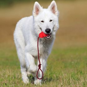 Natural Rubber Dog Rope Hoist Toy Braided Cotton Tug Dental Lead Play CCS (Option: Mixed Color Hair-9cm)