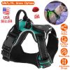 LED Dog Harness Vest Durable Mesh Reflective High Visibility Adjustable Safety Night Walking Puppy