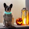 USB Rechargeable LED Dog Collar High Visibility Polymer Fiber Adjustable Safe Night Walking Puppy