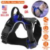 LED Dog Harness Vest Durable Mesh Reflective High Visibility Adjustable Safety Night Walking Puppy