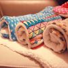 Coral Cashmere Dog Blanket Ultra Soft Reactive Dyed Premium Comfort Throw CCS