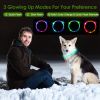 USB Rechargeable LED Dog Collar Light-Up Polymer Fiber Safety 3 Flash Modes CCS