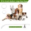 USB Rechargeable LED Dog Collar Light-Up Polymer Fiber Safety 3 Flash Modes CCS