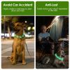 USB Rechargeable LED Dog Collar Light-Up Polymer Fiber Safety 3 Flash Modes CCS