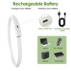 USB Rechargeable LED Dog Collar Light-Up Polymer Fiber Safety 3 Flash Modes CCS