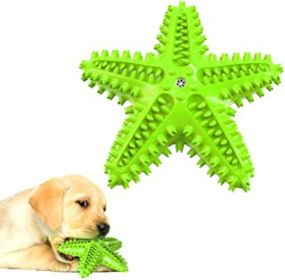 Rubber Starfish Dog Squeaky Puzzle Chew Toy Natural Durable CCS (Color: Green)