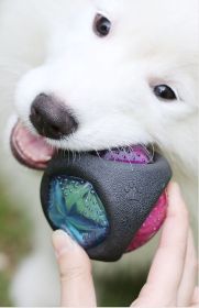 Pet Rubber Bouncing Dog Chew Toy Light Ball Squeaky Irregular Shape (Design: round)