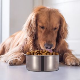 Stainless Steel Dog Hanging Food Bowl Detachable Cage Food Water Clamp Holder (size: L)