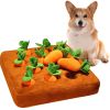 Carrot Farm Snuffle Dog Toy Hide-N-Seek Interactive Plush Puzzle Removable Squeaky Carrots CCS