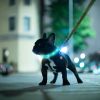 USB Rechargeable LED Dog Collar High Visibility Polymer Fiber Adjustable Safe Night Walking Puppy