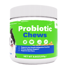 OEM Hot Sales Probiotics Chews Customized Shape Digestive Health Supplement Dogs (Option: 1pcs)
