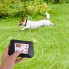 2 in 1 Remote Training System 3 Modes 990' Range IPX6 Waterproof Collar CCS