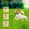 2 in 1 Remote Training System 3 Modes 990' Range IPX6 Waterproof Collar CCS