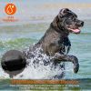2 in 1 Remote Training System 3 Modes 990' Range IPX6 Waterproof Collar CCS