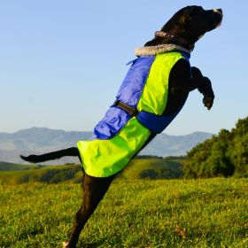 Alpine All-Weather Waterproof Dog Coat Reflective Warm Fleece Lined Adjustable Fit Weatherproof Adventure (Color: Blue and Green, size: X-Small)