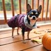 Pet Life Dog Coat Alpine Extreme Weather Puffer Jacket Fleece Warm
