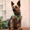 American River Ombre Choke Free Adjustable Mesh Harness Small Medium Large Breeds Reflective Safety Design