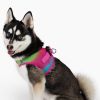 American River Ombre Choke Free Adjustable Mesh Harness Small Medium Large Breeds Reflective Safety Design