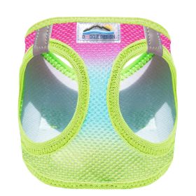 American River Ombre Choke Free Adjustable Mesh Harness Small Medium Large Breeds Reflective Safety Design (Color: Rainbow, Size: XX-Small)