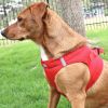 American River Solid Adjustable Step In Safety Mesh Harness Reflective Lightweight No Pull Design Small Medium Breeds