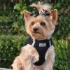 American River Solid Adjustable Step In Safety Mesh Harness Reflective Lightweight No Pull Design Small Medium Breeds