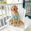 Doggie Design Hawaiian Camp Shirt 100 Percent Cotton Tropical Print Button Up Lightweight Summer Apparel Leash Hole Multiple Sizes Styles