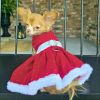 Doggie Design Red Velvet Christmas Harness Dress Rhinestone Belt Fur Trim Holiday Outfit Leash Set Festive Winter Apparel Small Medium Large Breeds