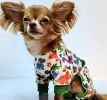 Soft Dog Pajamas Comfort Adorable Onesie