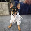 Luxury Cotton Terry Bathrobe Silver Tiara Embroidered Adjustable Wrap Soft Absorbent Pet Apparel