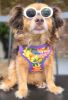 Wrap and Snap Harness Sunset Hibiscus Adjustable Soft Mesh Easy Wear Choke Free Secure Fit Doggie Design