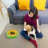 Dog Puzzle Dispenser IQ Training Mental Stimulation Intermediate Game CCS