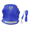 Reflective Dog Chest Harness and Leash Set Adjustable Mesh Padding High Visibility Night Walking Secure for Puppies Dogs