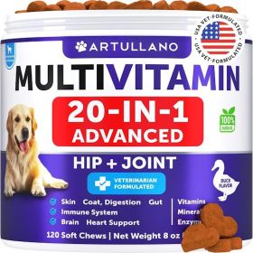 Artullano Dog Multivitamin Chewable 20 In 1 Supplement Glucosamine Joint Support Immunity All Ages Daily Wellness Vitamin Design (Option: Artullano)