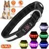 LED Dog Collar Rechargeable Hi Vis Safety Nine Color Modes USB Optical Fiber CCS