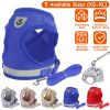 Reflective Dog Chest Harness and Leash Set Adjustable Mesh Padding High Visibility Night Walking Secure for Puppies Dogs