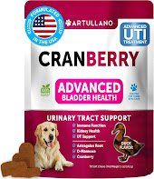 Artullano Dog UTI Treatment Cranberry Supplement Bladder Control Urinary Tract Infection Incontinence Pill Kidney Support Design (Option: Artullano)