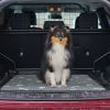 Reusable Dog Pee Pads Washable Anti Slip Layered Absorbent Med Lg Housebreaking Whelping Durable Training Mat