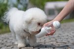 Pet Life PYURE Water Feeder Handheld Travel Filtered Bottle Dispenser