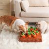 Carrot Farm Snuffle Dog Toy Hide-N-Seek Interactive Plush Puzzle Removable Squeaky Carrots CCS