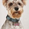 Unbranded Metal Dog ID Tag Bone Shape Durable Lightweight Engraved Design Practical Charming Reliability