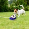 Pedal Activated Outdoor Dog Water Fountain Drinking Bathing Sprinkling Interactive Water Play Four Shower Balls Durable Fun