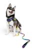 Doggie Design American River Ombre Dog Leash Reliable Secure Lightweight Stylish Everyday Walking Lead Matching Harness Collection