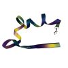 Doggie Design American River Ombre Dog Leash Reliable Secure Lightweight Stylish Everyday Walking Lead Matching Harness Collection
