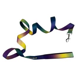 Doggie Design American River Ombre Dog Leash Matching Harness Collection (Color: Cosmic Splash, Size: 5/8 inches wide x 4 feet long)