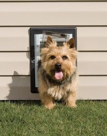 PetSafe Wall Dog Door Easy To Install Unique Double Flap Construction Secure Weather Resistant Entry Durable Indoor Outdoor Design (Option: Small)